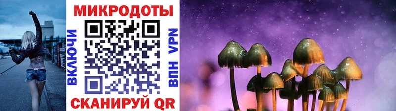 Галлюциногенные грибы GOLDEN TEACHER  Елизаветинская 